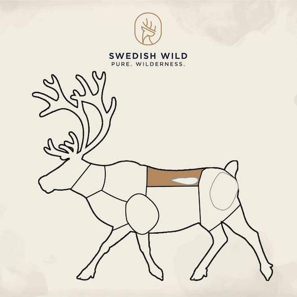 Swedish Wild Reindeer Reindeer Saddle Calf